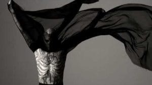 Lady Gaga - Anatomy Of Change lady:gaga:anatomy:of:change:songs:music:videos.jpg