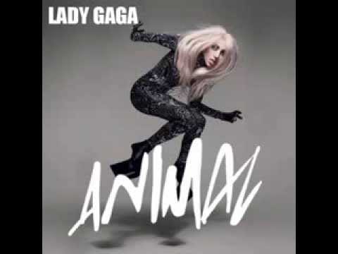Lady Gaga - Animal 4 lady gaga animal songs music videos